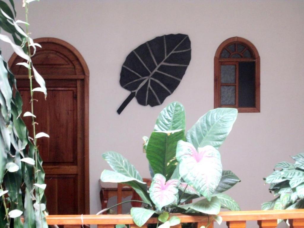 Hotel Guzman Xilitla Extérieur photo