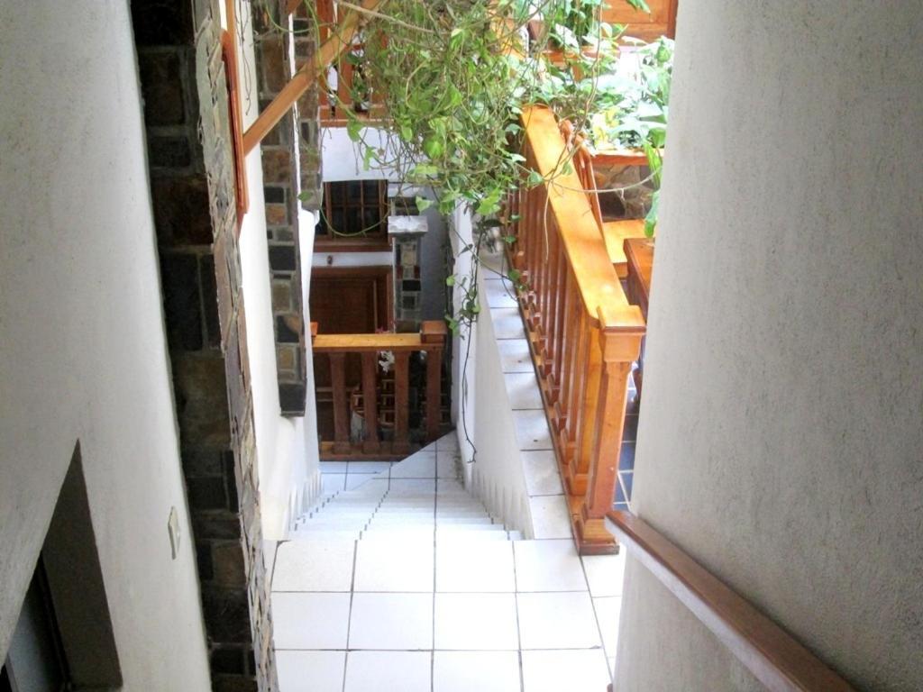 Hotel Guzman Xilitla Extérieur photo